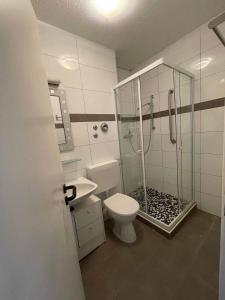 a bathroom with a shower and a toilet and a sink at Appartement am Brunnenplatzl mit Bademantelzugang in Bad Griesbach +25 photos