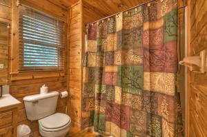 a bathroom with a toilet and a shower curtain at Aska Sunrise - Mountain View Cabin Rental in Aska Adventure Area - Stunning Mountain Views, Pet-friendly, Hot Tub, Game Room, J in Blue Ridge +17 photos
