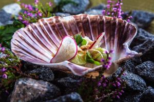 una conchiglia sulle rocce con fiori viola di Lindesnes Havhotel a Spangereid Altre 63 foto