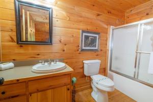 a bathroom with a toilet and a sink and a mirror at Hibernation Station - Hot Tub, Fireplace, Serene Forest Views - Cherry Log, GA in Blue Ridge