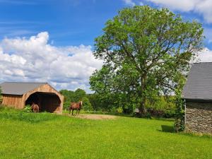Fotografie z fotogalerie ubytování Gîte L'Olivier à Filly - Nadrin, entre Houffalize et La Roche-en-Ardenne v destinaci Houffalize