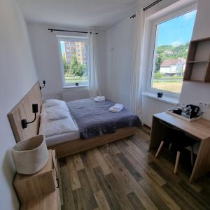 Postel nebo postele na pokoji v ubytování Penzion Brothers U Koňa