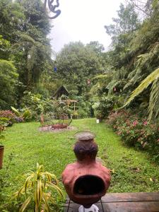 Vườn quanh Tipi Cabécar