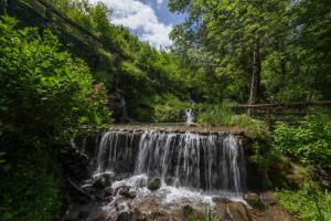 a waterfall in the middle of a forest at Casa nel Bosco in Arezzo