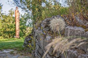 een stenen muur met paardenbloemen erop bij Torre di Riosecco in Arezzo +56 foto's