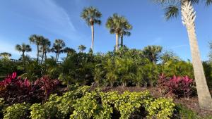 a garden with palm trees and flowers at Avanti Palms Resort And Conference Center in Orlando