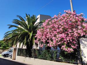 a bush of pink flowers on a fence next to a palm tree at Picobello Lago in Mandello del Lario