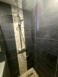 DalhundenにあるLogement privé dans une Villa avec piscineの黒いタイル張りのバスルーム(シャワー付) +6枚の写真
