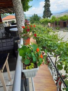 Afbeelding uit fotogalerij van Bujtina Gjerbes in Gjerbës