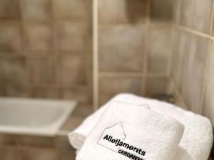 Koupelna v ubytování Lludriga, alojamiento en Martinet, Puigcerdá