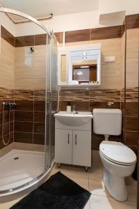 Un baño con inodoro, lavabo y ducha. en Birs Kunyhó, en Parád