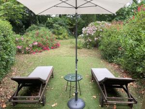 Ogród w obiekcie Pézenas Cottage avec terrasse et jardin 1 chambre et 1 mezzanine au coeur d'un domaine avec 2 piscines