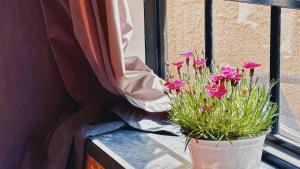 Zahrada ubytování CityWalk Cottage With Two Beds and Courtyard