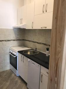 a small kitchen with a sink and a stove at Apartman near Porto Novi Djenovici in Đenovići +10 photos