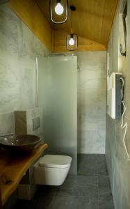 a bathroom with a toilet and a sink at Cabana Noua in Pojorîta