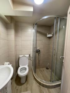 a bathroom with a shower and a toilet and a sink at Montenegro High Mountain Apartment in Žabljak +5 photos