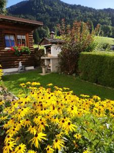 Zahrada ubytování Haus Ritter 286