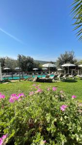 Bazén v ubytování Agriturismo e Glamping Serraiola Alta nebo v jeho okolí