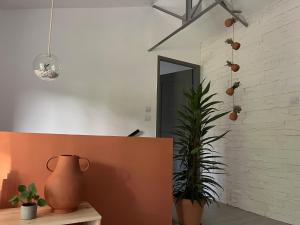 a room with a vase and plants on the wall at Hózhó Tempo -Sous les toits, espace loft écofriendly & slowlife avec petit-déjeuner in Grézet-Cavagnan +52 photos