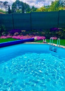 a swimming pool in a yard with flowers at La Maison des Tarentes in Brignoles +10 photos