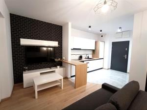 a kitchen and living room with a television and a couch at AlfaHome Neopolis Parking in Łódź