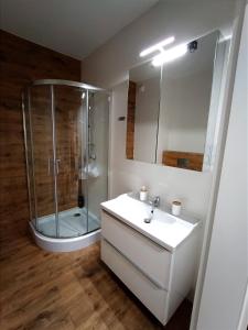 a white bathroom with a shower and a sink at AlfaHome Neopolis Parking in Łódź +15 photos