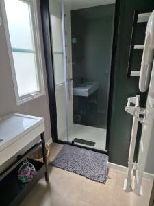 a bathroom with a mirror and a sink at RB19 Nina in Biscarrosse