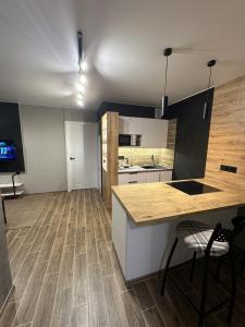 Galeriebild der Unterkunft Loft apartment in Tiraspol