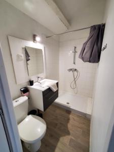 łazienka z toaletą, umywalką i prysznicem w obiekcie camping hôtel les airelles w mieście Saint-Cirgues-en-Montagne