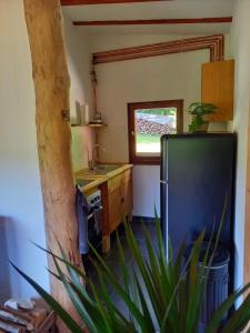 a kitchen with a refrigerator and a wooden table at Explorer's Lodge & Camping in Helminghausen