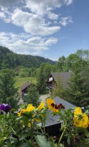 Příroda nedaleko hotelu + 26 fotografií