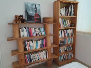 Knihovna v apartmánu