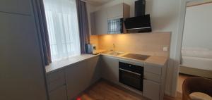a small kitchen with a sink and a window at Zentrum 7 Mörbisch in Mörbisch am See