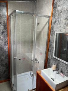 a bathroom with a shower and a sink at Ruta Archipiélago in Ancud