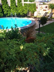 una piscina in un cortile con giardino paesaggistico di Apartment Relić a Sombor