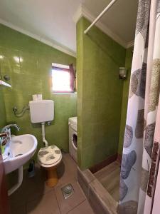 a green bathroom with a toilet and a sink at Holiday house in Neum +22 photos