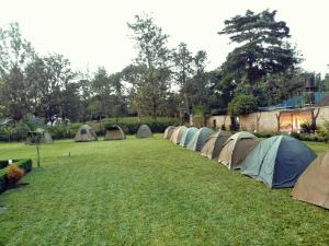 a row of tents sitting in a grass field at Charming Eco-Campsite near Kilimanjaro International Airport in Tuvaila