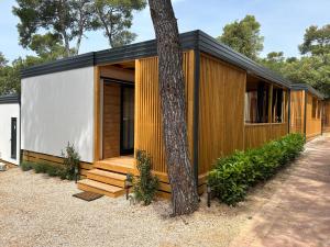 a small house with a tree in front of it at Mobile home TIM in Biograd na Moru