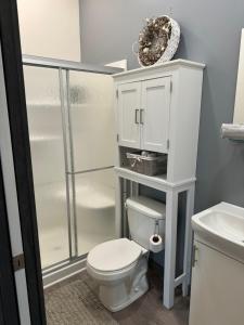 a white bathroom with a toilet and a shower at Sugar on The Sugar River in Albany +10 photos