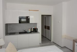 Kuchyň nebo kuchyňský kout v ubytování Apartmány - Frymburk My Family