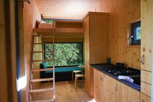 a tiny house with a ladder and a kitchen at Tiny House Nature 14 - Green Tiny Village Harz in Osterode
