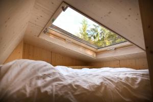 a bed in a small room with a window at Tiny House Pioneer 10 - Green Tiny Village Harz in Osterode