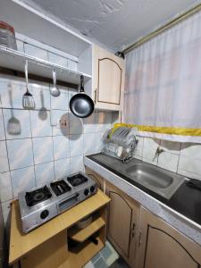 a small kitchen with a stove and a sink at G&G Homes Nakuru CBD in Nakuru