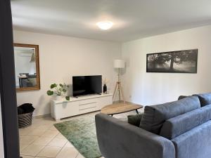 un salon avec un canapé bleu et une télévision dans l'établissement Le refuge de Chambord, à Thoury