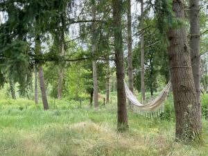 a hammock hanging from a tree in a forest at Le refuge de Chambord Nature, calme, forêt et prestige des châteaux de la Loire in Thoury