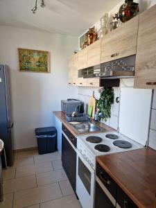 eine Küche mit weißem Herd und Spüle in der Unterkunft Ferienwohnung Sofia/ruhig- scharmant-Parkplatz in Offenbach