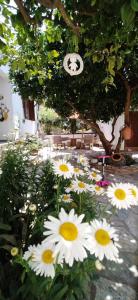 Photo de la galerie de l'établissement Sunny Days beach house, à Ayía Kiriakí