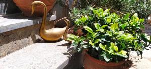 Photo de la galerie de l'établissement Sunny Days beach house, à Ayía Kiriakí 37 autres photos