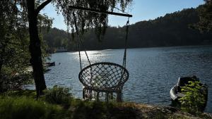 a chair hanging from a tree in front of a lake at Moderne hytte i vannkanten med tilgang til brygge og båt in Risør