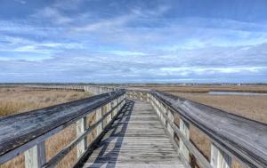Gallery image of Loggerhead Lookout in Surf City